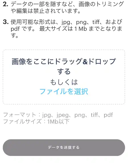 ブビンガバイナリースマホ（本人確認4）