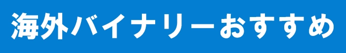 海外バイナリー