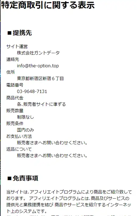 the-option.netデザイン2